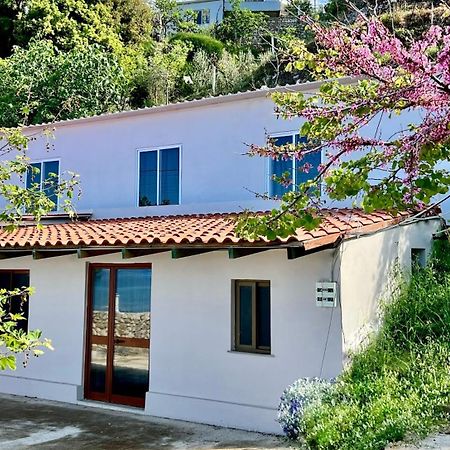 Villa Kate Borsh Ngoại thất bức ảnh